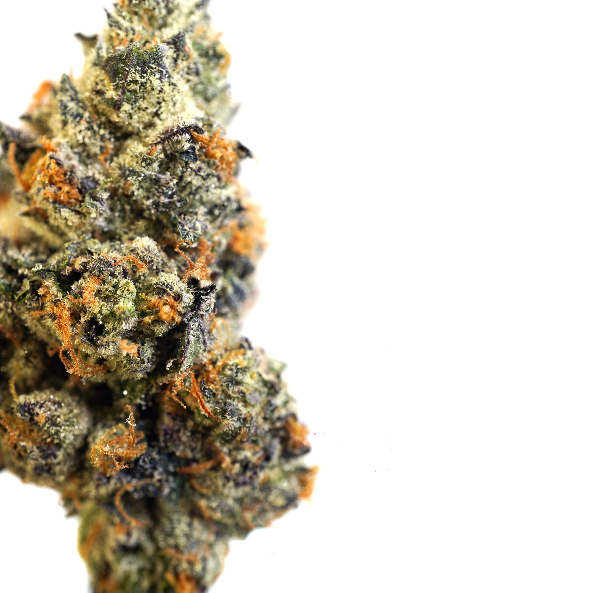 GMZ – Exotic Indica-Dominant Hybrid THCa Flower