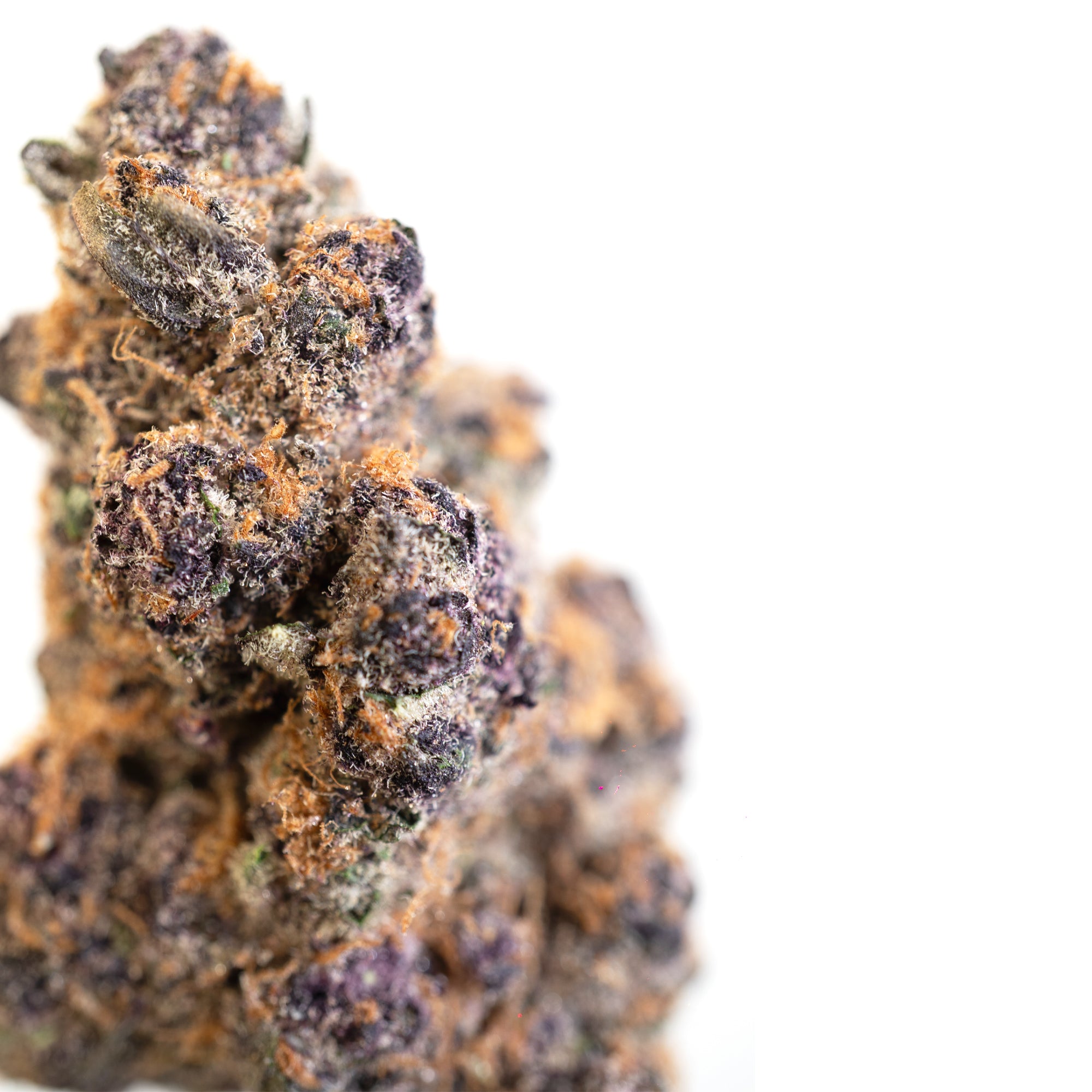 Superboof – Exotic Hybrid THCa Flower